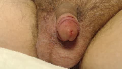 curve66 online show from 01-10-26, 09:30