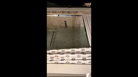 Snapshot of curvyd454066 chatting on 09-26-25, 07:07 curvyd454066 online show from 09-26-25, 07:07