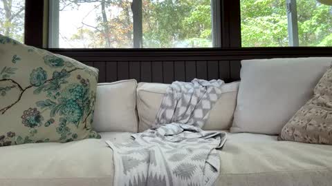 Snapshot of curvyd454066 chatting on 09-29-25, 06:24 curvyd454066 online show from 09-29-25, 06:24