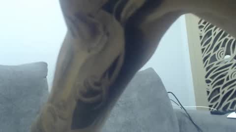 cuteeboy online show from 12-02-25, 08:37