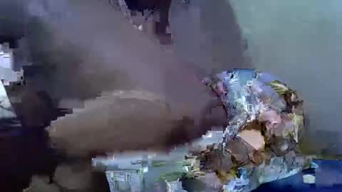 cutesexy44 online show from 10-18-25, 07:09