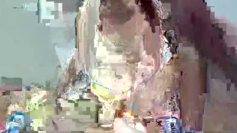 bella online show from 02-01-25, 01:55