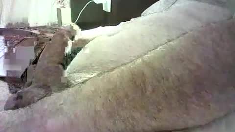 Snapshot of cv79brctba chatting on 10-29-25, 02:58 cv79brctba online show from 10-29-25, 02:58