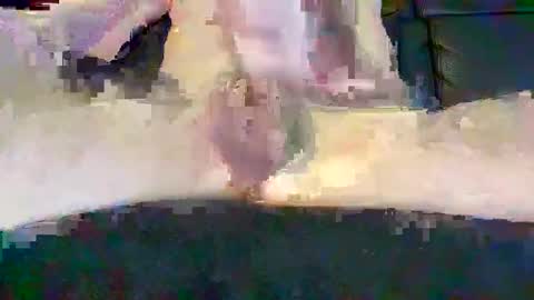 cwaddle online show from 02-16-25, 03:48