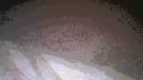 cwill27837 online show from 02-26-26, 03:38