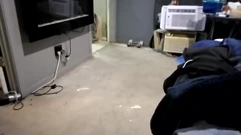 da941987 online show from 12-02-24, 05:48