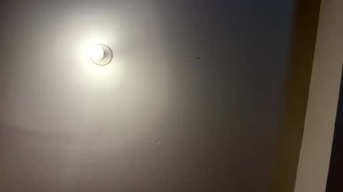 daboss41126 online show from 03-18-26, 01:42