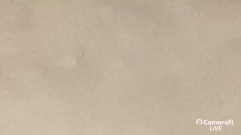 Snapshot of daddybigwhitecock chatting on 09-20-25, 10:05 Tommy online show from 09-20-25, 10:05