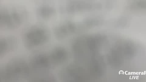 Snapshot of daddybigwhitecock chatting on 11-02-25, 01:24 Tommy online show from 11-02-25, 01:24