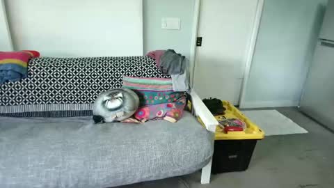 bas online show from 10-27-25, 08:35