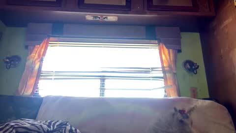 daddysangel1993 online show from 01-20-25, 07:46