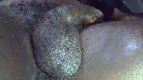 GIANT  Lamar  72 ft  tall  with a  10 inches  BBC   hard quick cumshot in private show lets go online show from 04-01-26, 11:44