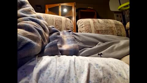 DailyJerker84 online show from 03-01-25, 06:13