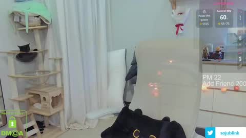 Daisy online show from 03-24-26, 08:52