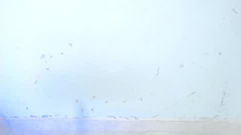 VALENTINA  online show from 10-16-25, 08:48