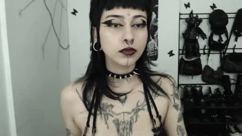 dakota online show from 11-25-25, 02:44