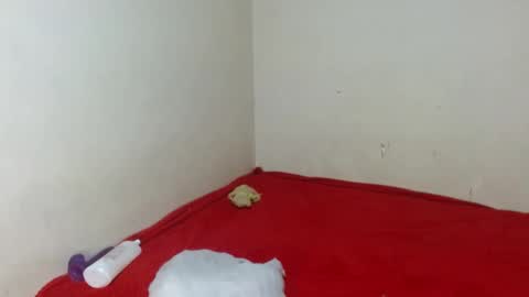 Dakota And Bellamy online show from 01-27-25, 06:52