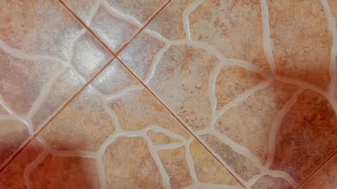         online show from 01-14-25, 07:27