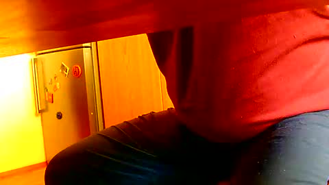 Snapshot of dammerl6 chatting on 01-08-25, 10:48 Dammerl online show from 01-08-25, 10:48