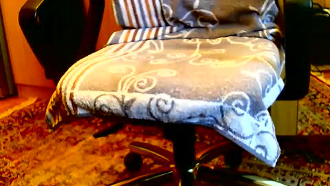 Snapshot of dammerl6 chatting on 01-15-25, 08:20 Dammerl online show from 01-15-25, 08:20