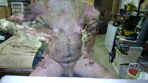 Dana online show from 10-29-25, 04:42