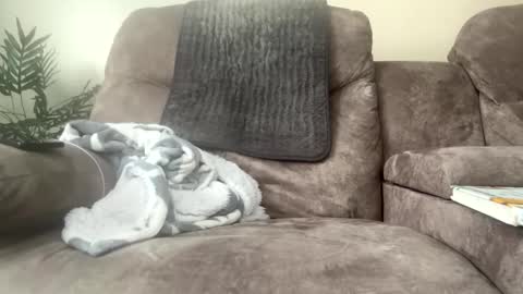 Snapshot of dancal91 chatting on 02-05-25, 03:09 C2o7M3 online show from 02-05-25, 03:09