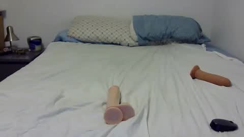 Snapshot of dandyhandys chatting on 12-30-24, 05:04 Andy online show from 12-30-24, 05:04