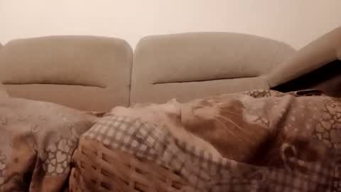 Dani225812 online show from 11-15-25, 07:21