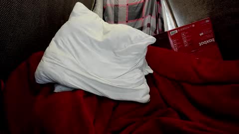 Snapshot of daniel_like chatting on 03-24-26, 01:27 Just Ben online show from 03-24-26, 01:27