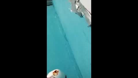 Snapshot of danipas_30 chatting on 02-12-26, 05:57 danipas_30 online show from 02-12-26, 05:57