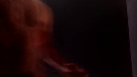 daniwood473904 online show from 04-04-26, 03:38