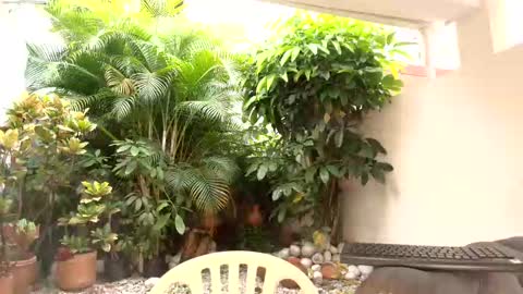 Dannamunoz130 online show from 10-12-25, 12:48