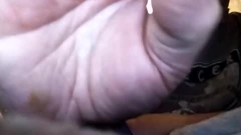 Snapshot of dannowisc chatting on 02-01-26, 12:37 dannowisc online show from 02-01-26, 12:37