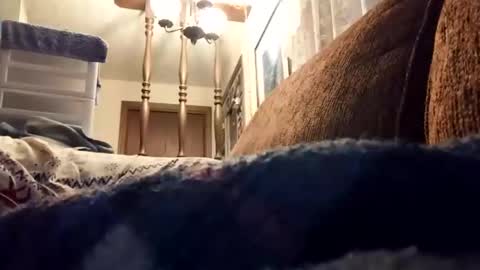 dannowisc online show from 04-17-26, 11:02