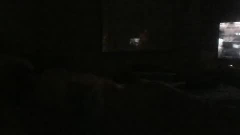 Danielle online show from 12-24-24, 05:49