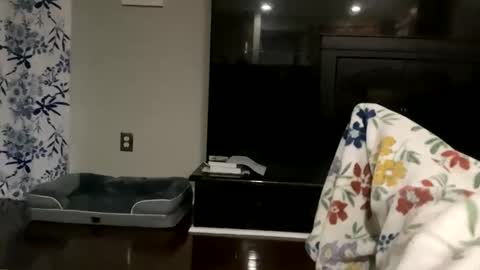 Snapshot of dannyboy621 chatting on 10-17-25, 11:24 dannyboy621 online show from 10-17-25, 11:24