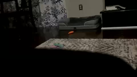 Snapshot of dannyboy621 chatting on 10-20-25, 09:43 dannyboy621 online show from 10-20-25, 09:43