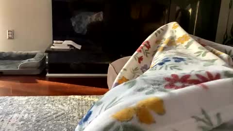 Snapshot of dannyboy621 chatting on 10-26-25, 01:17 dannyboy621 online show from 10-26-25, 01:17