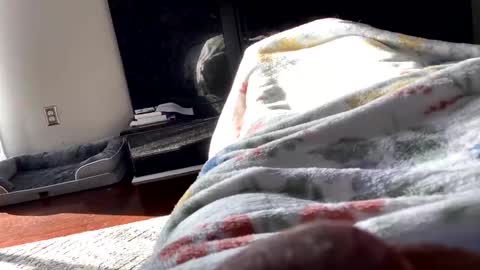 Snapshot of dannyboy621 chatting on 11-06-25, 01:56 dannyboy621 online show from 11-06-25, 01:56