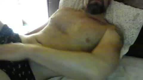 danroof2023 online show from 01-30-25, 11:11