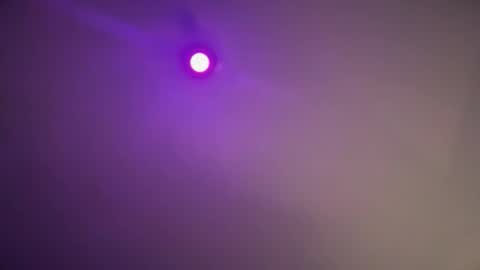 daquim online show from 11-12-25, 11:14