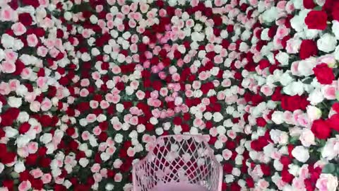 dara_johnson online show from 09-14-25, 12:59
