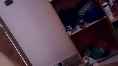 dario1127 online show from 10-13-25, 01:33