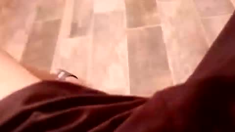 dario1127 online show from 12-15-25, 06:45