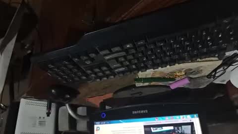 dario48 online show from 11-03-25, 06:47