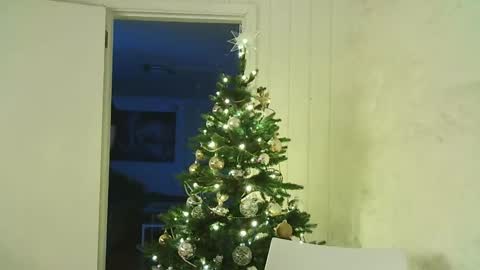 Snapshot of dartanjanas chatting on 12-25-24, 07:56 Dario online show from 12-25-24, 07:56