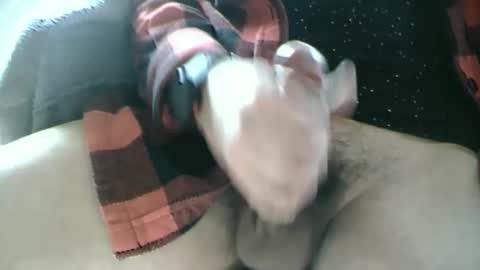 Snapshot of dartrok chatting on 02-17-25, 12:59 Dartrok online show from 02-17-25, 12:59