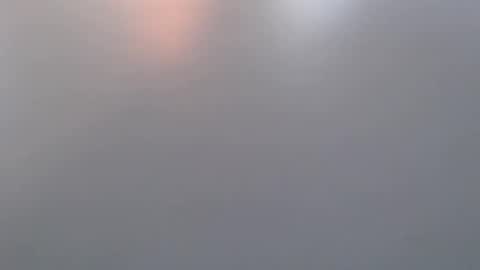 Snapshot of davdao3 chatting on 03-19-26, 07:01 davdao3 online show from 03-19-26, 07:01