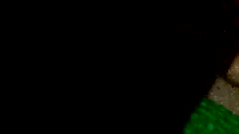 david1982yesyes online show from 04-16-26, 12:39