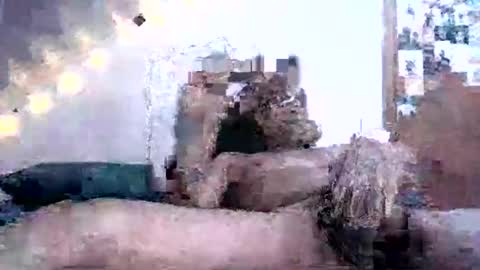 David Berry online show from 02-16-25, 02:10